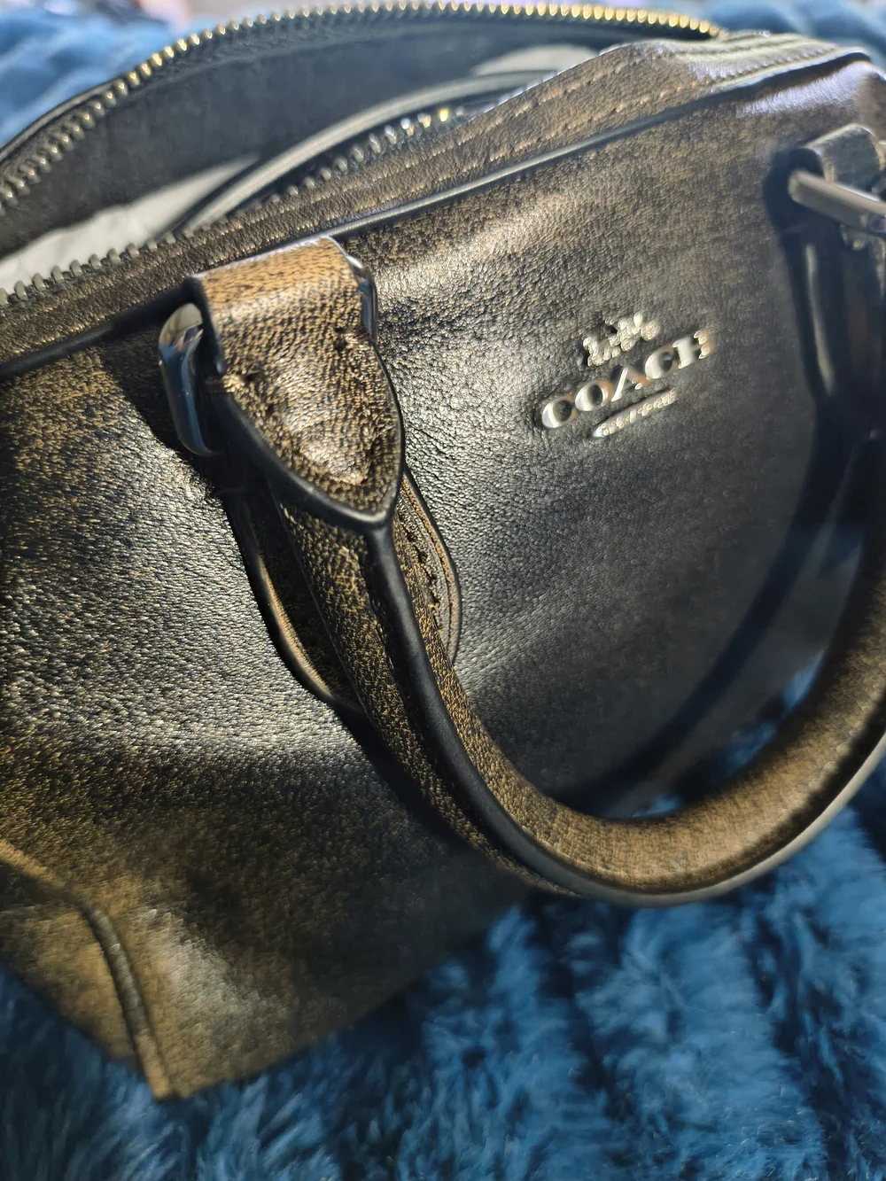 Coach elegant mini